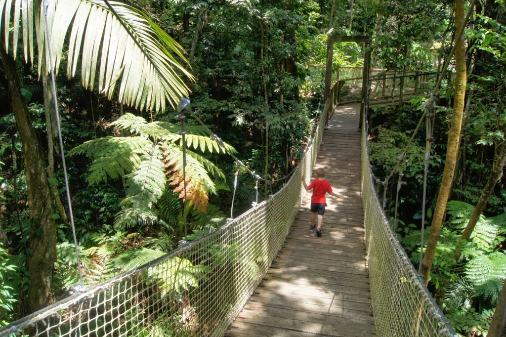 excursion desirade guadeloupe