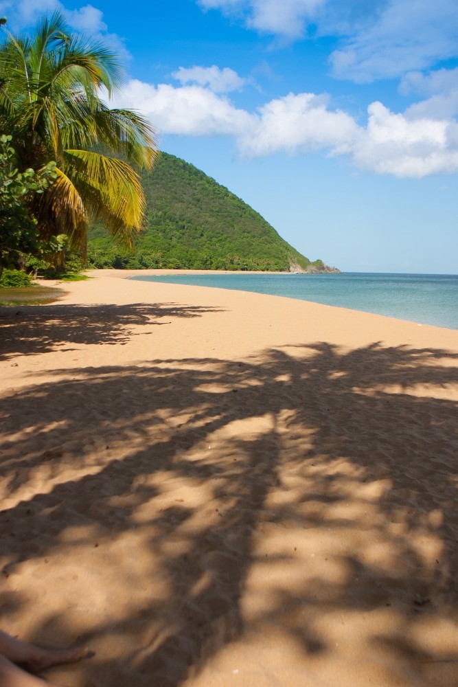 excursion desirade guadeloupe